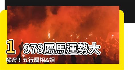 1978生肖配對|【1978 屬相】1978屬相大解密！馬年生肖配對真相揭曉